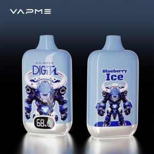 VAPME Digital 12000