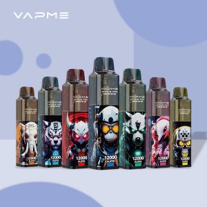 VAPME King Pro 12000