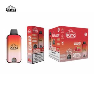 Bang 20000 Dual Mesh