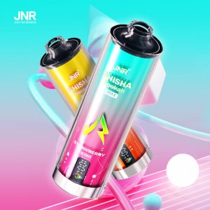 JNR Shisha Hookah Max 22000