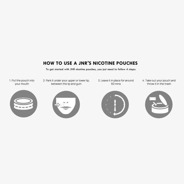 JNR Nicotine Pouches - Image 4
